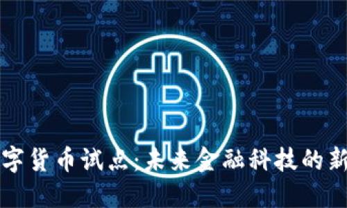 AI数字货币试点：未来金融科技的新趋势