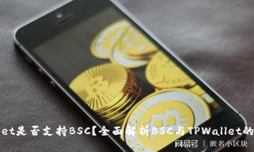 TPWallet是否支持BSC？全面解析BSC与TPWallet的兼容性