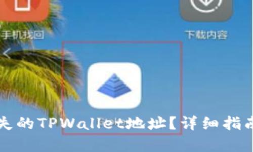 如何找回遗失的TPWallet地址？详细指南与案例分析
