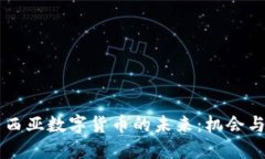 马来西亚数字货币的未来：机会与挑战