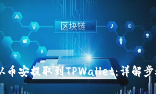如何将SHIB从币安提取到TPWallet：详解步骤和注意事项
